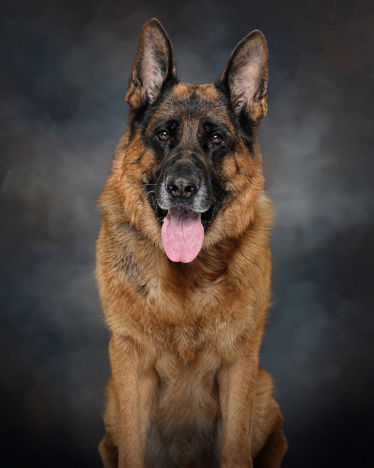 Police Canine Rock