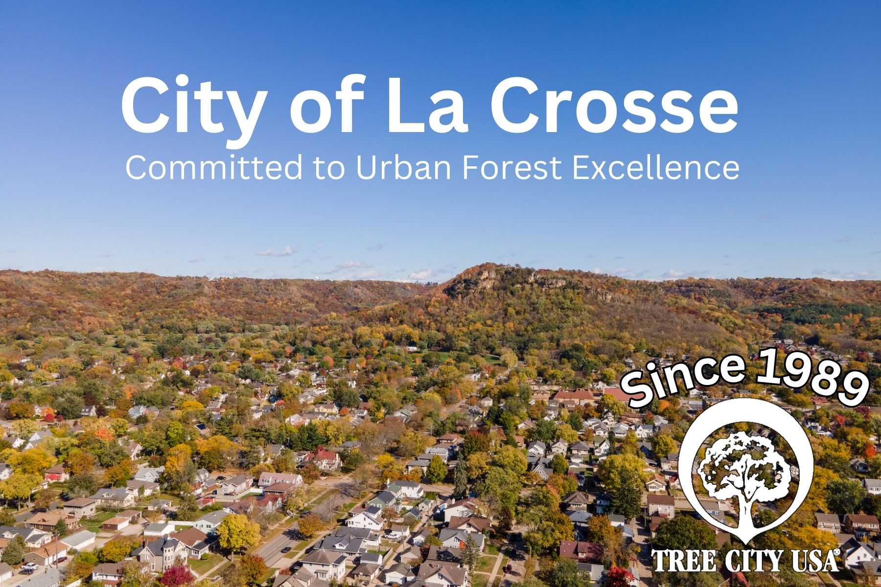 Tree City USA