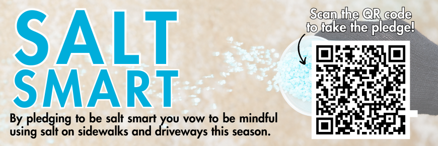 Salt Smart Email Header